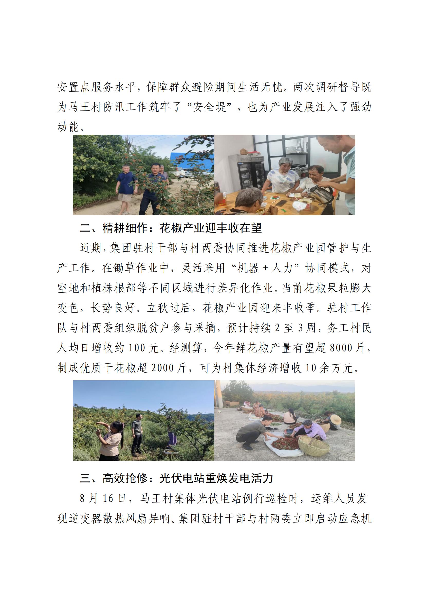 耀彩网集团墟落振兴事情动态（2025.8）_02.jpg