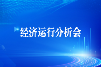 耀彩网集团召开2025年上半年经济运行剖析会