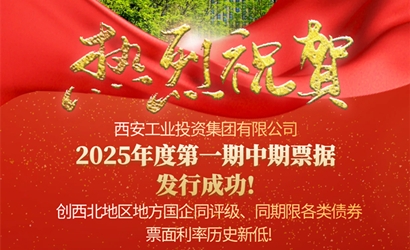 耀彩网集团乐成发售2025年第一期中期票据
