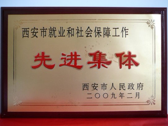 2009年2月，，，，，被西安市政府评为西安市就业和社会包管事情先进整体